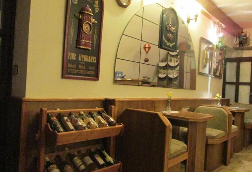 Panzió Penzion U Holubů Nový Jičín