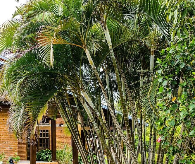 פנסיון Pousada Da Lagoa