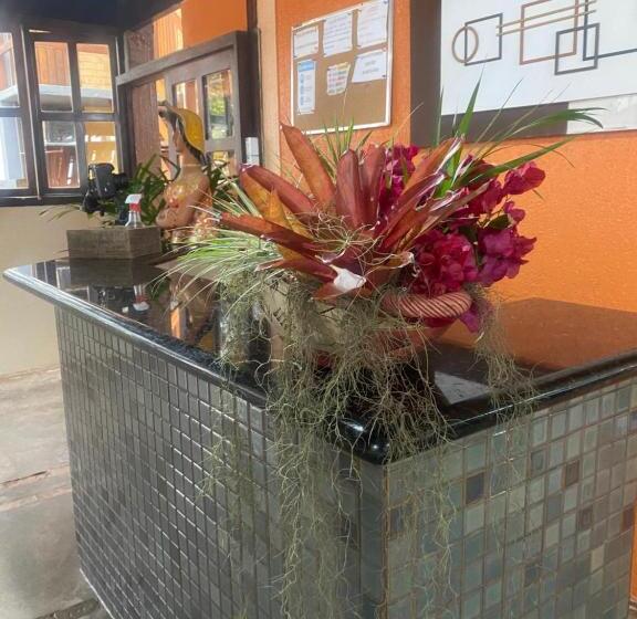 膳宿费 Pousada Do Sol