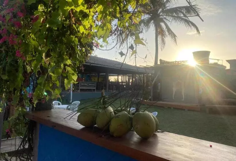 ペンション Pousada Do Sol