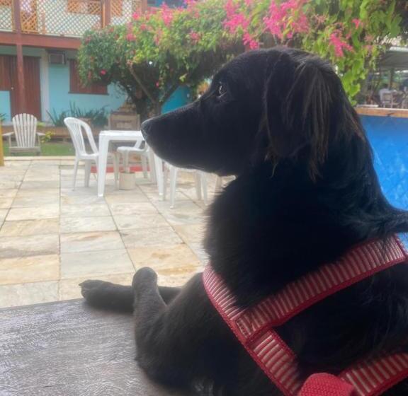 膳宿费 Pousada Do Sol