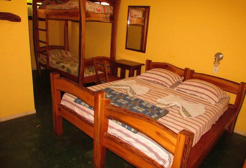 פנסיון Pousada Tatu Feliz