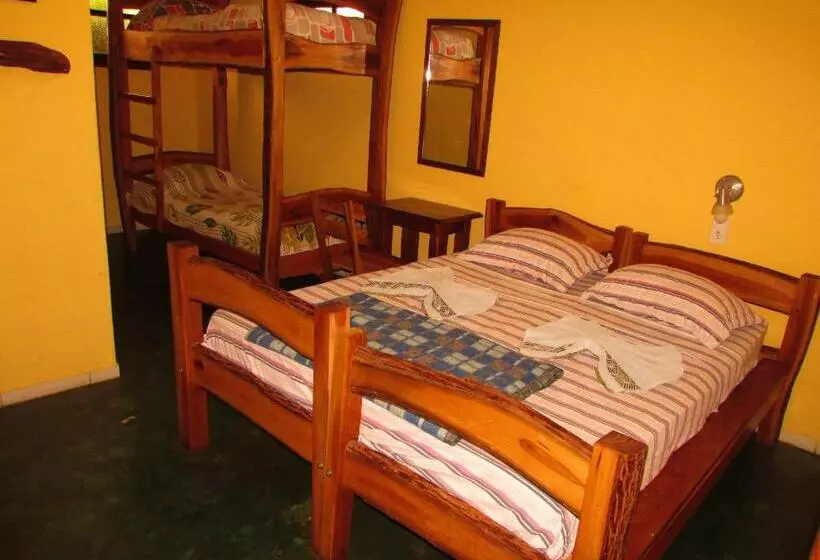 ペンション Pousada Tatu Feliz