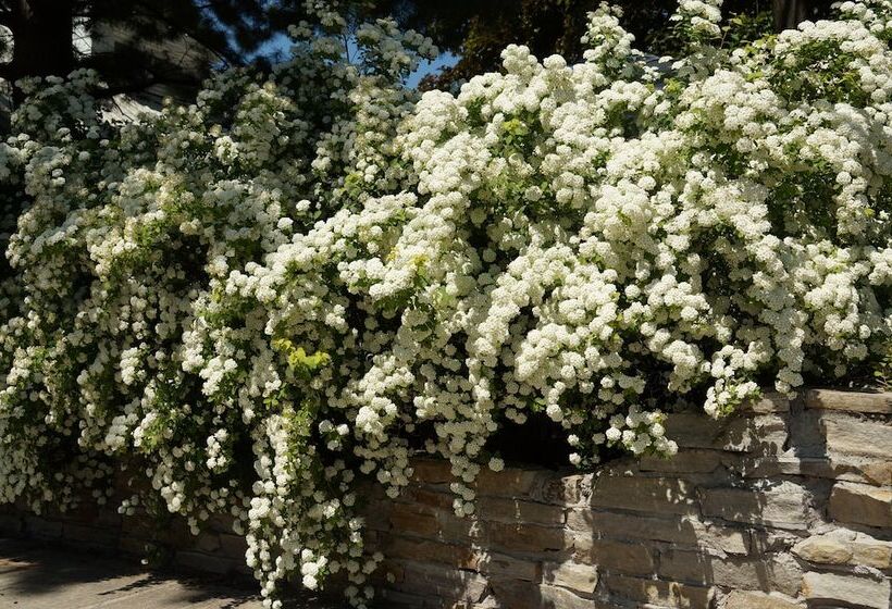 بنسيون Refuge Du Poète