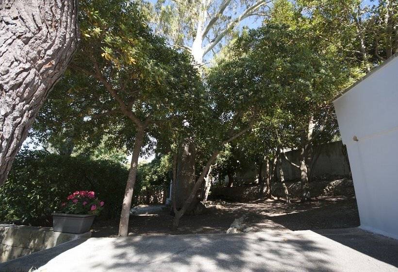 Villa Flora Studios & Apartments