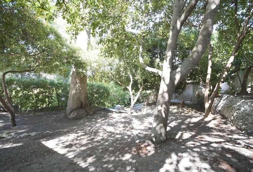 Villa Flora Studios & Apartments