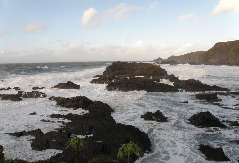 旅馆 Hartland Quay