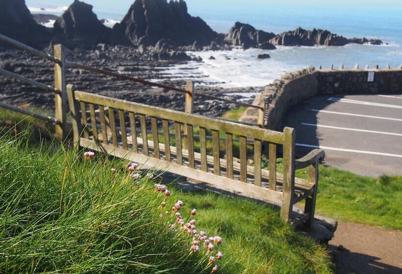 旅馆 Hartland Quay