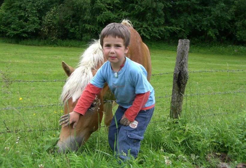 Отель Ferienhaus Zur Alten Schmiede