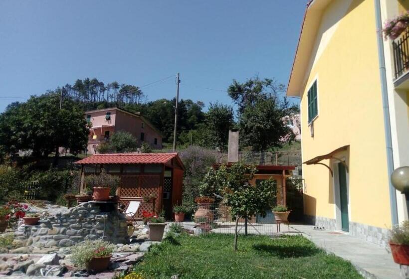 پانسیون Affittacamere Graziella