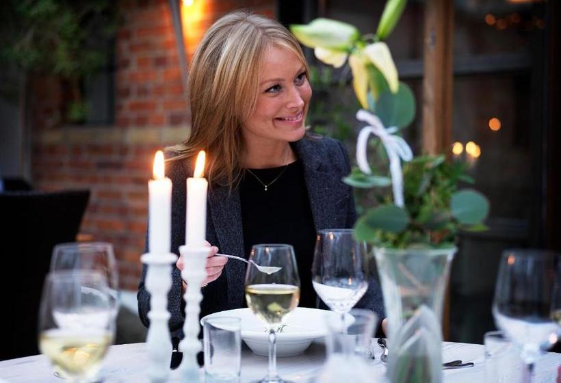 Pensionat Blåsingsborgs Gårdshotell