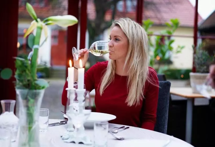 ペンション Blåsingsborgs Gårdshotell