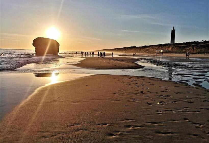 بنسيون Victoria