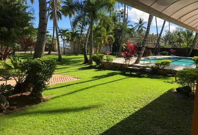 Don Cesar