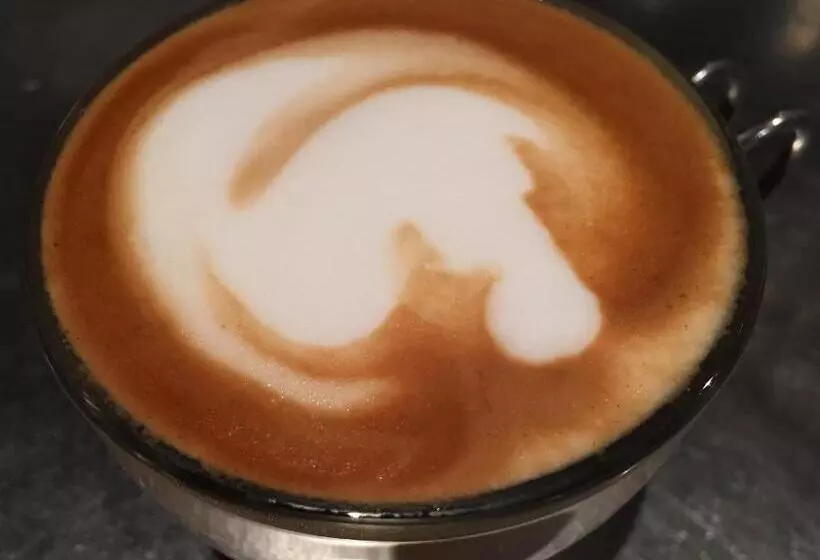 Retkeilymaja Transit Rooms   Your Stopover