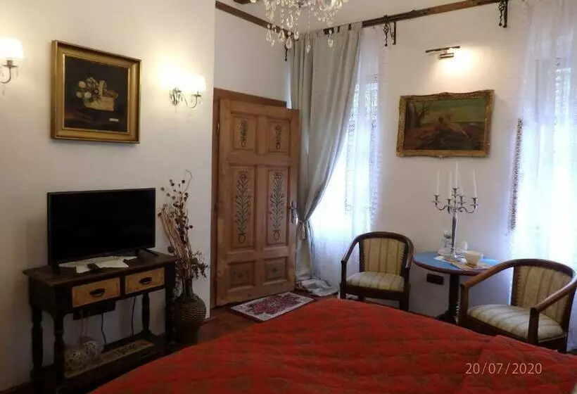 Casa Cositorarului Boutique Pension