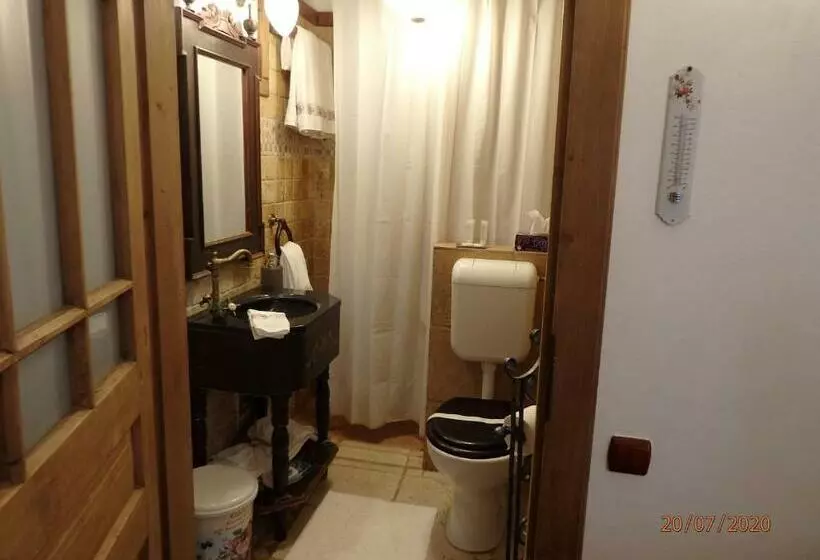 Casa Cositorarului Boutique Pension