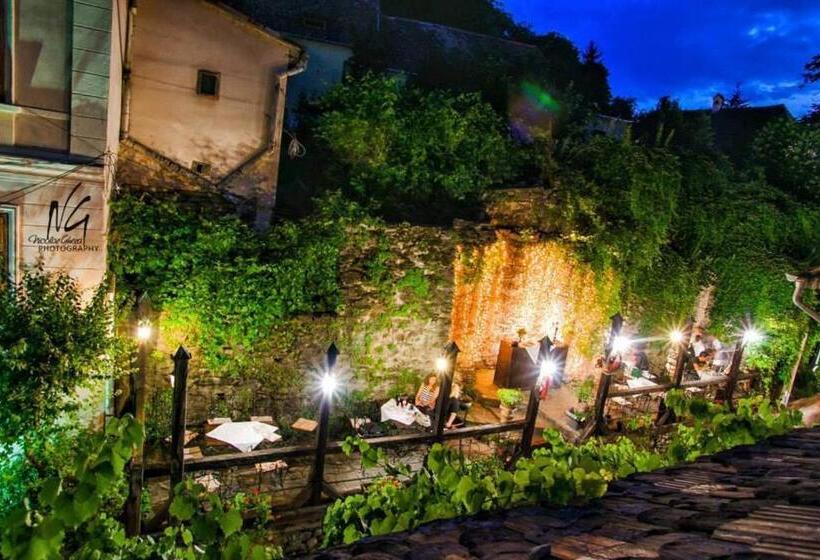 Casa Cositorarului Boutique Pension