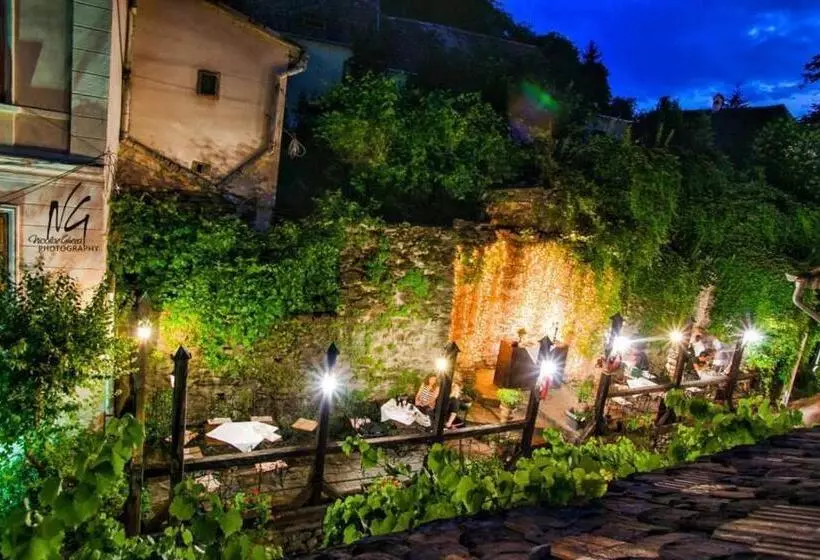 Casa Cositorarului Boutique Pension