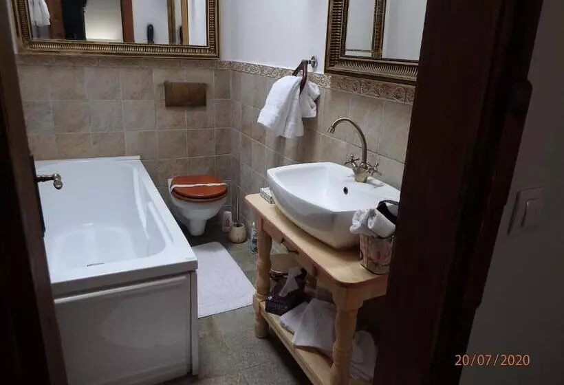 Casa Cositorarului Boutique Pension