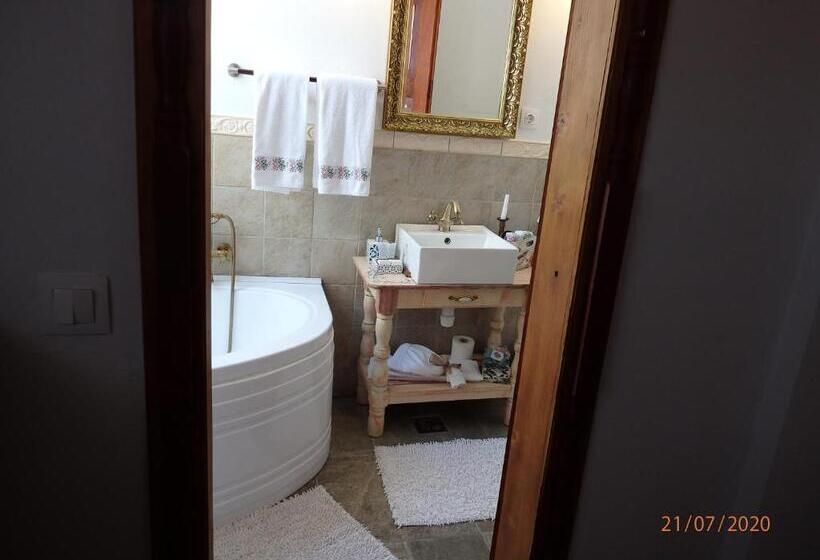 Casa Cositorarului Boutique Pension