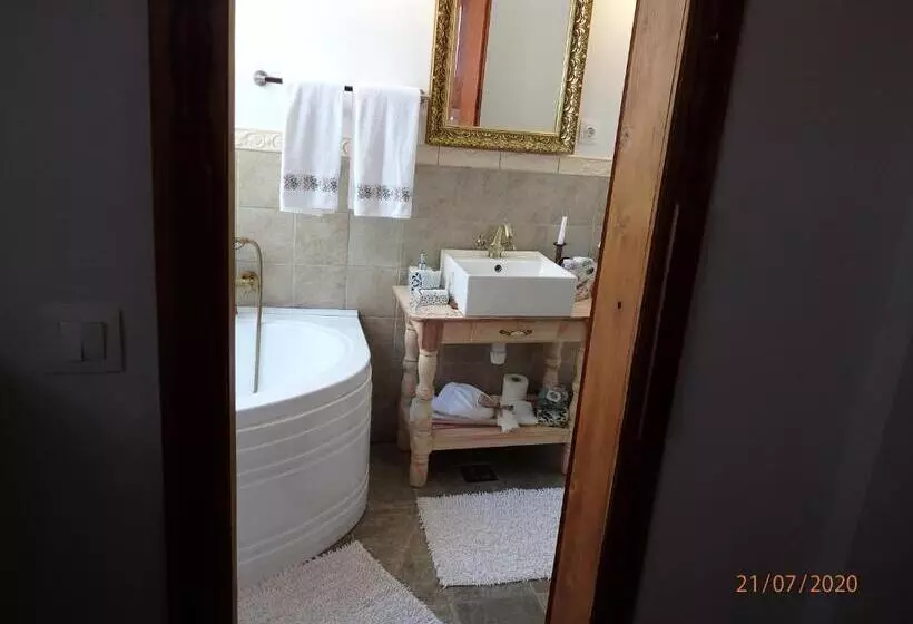 Casa Cositorarului Boutique Pension