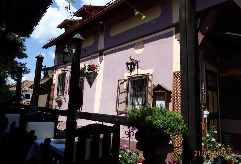 Casa Cositorarului Boutique Pension