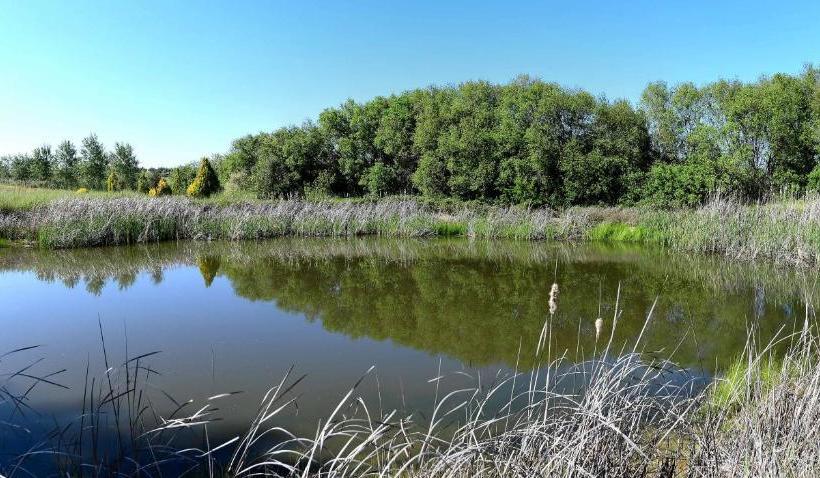 호텔 Quinta Dos Trevos Artes E Ofícios