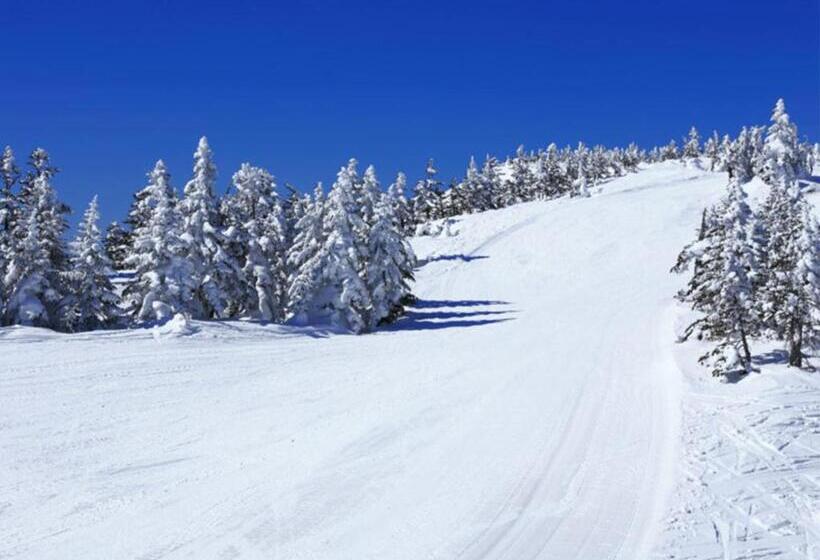 Пансион Shiga Kogen Hotel Astoria