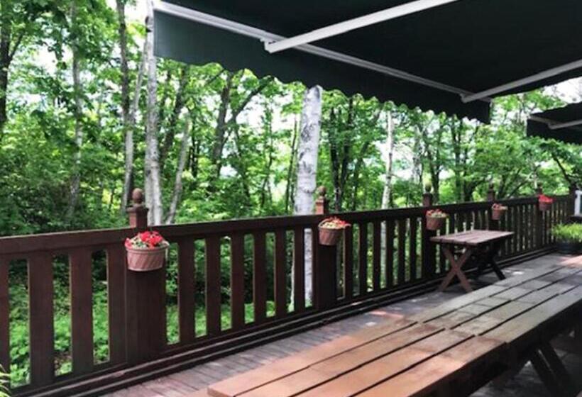 Пансион Shiga Kogen Hotel Astoria