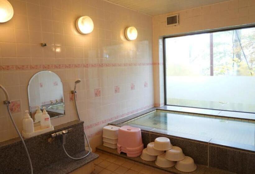 Пансион Shiga Kogen Hotel Astoria