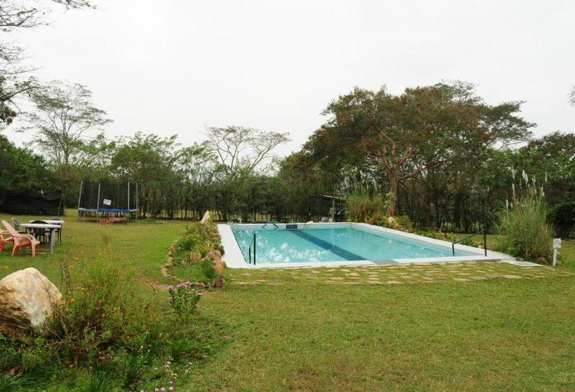 פנסיון Bamboo Banks Farm & Guest House