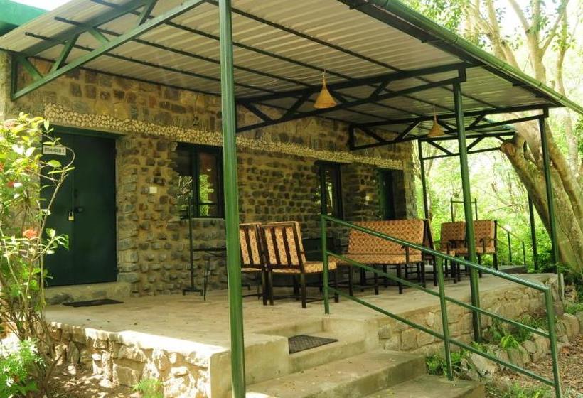 פנסיון Bamboo Banks Farm & Guest House