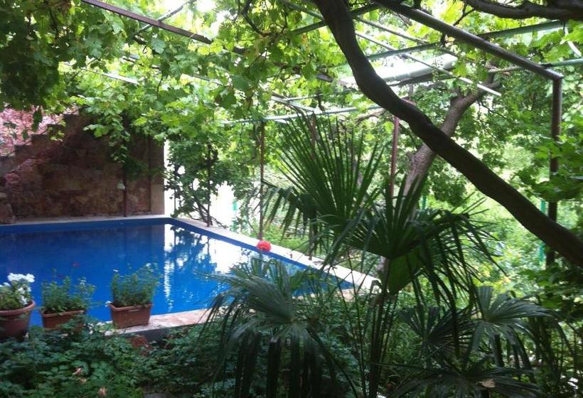 پانسیون Gohar`s Guest House