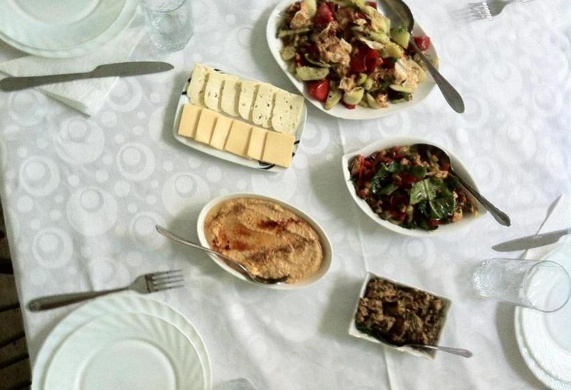 پانسیون Gohar`s Guest House