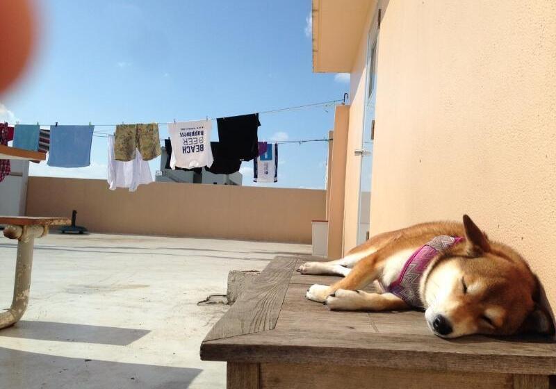 ペンション Emix Ishigaki