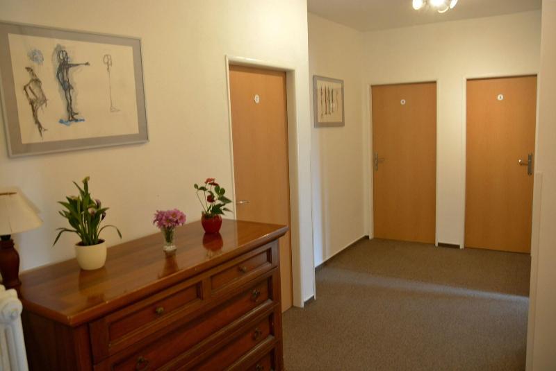 پانسیون Wellness Vila Bohemia