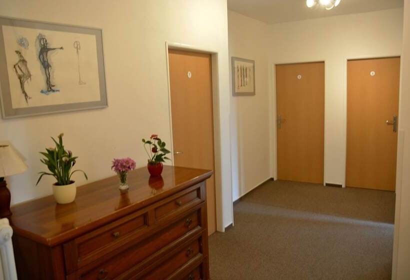 پانسیون Wellness Vila Bohemia