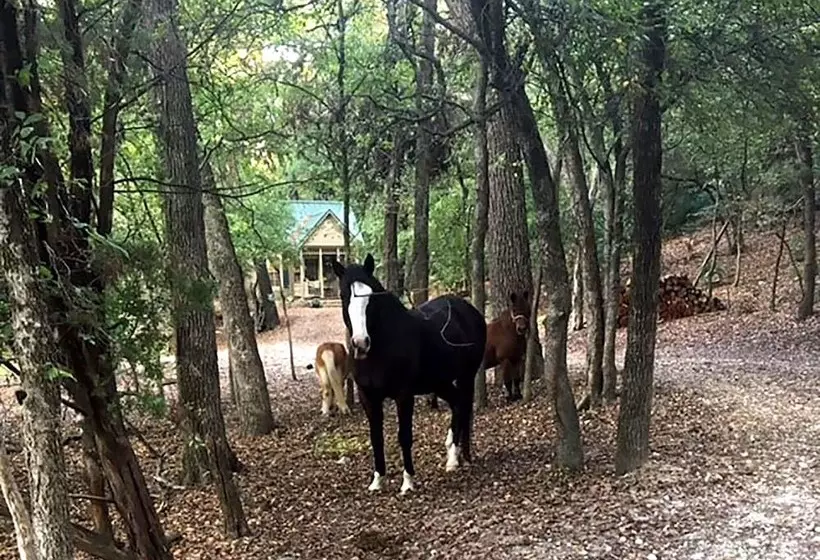 Retkeilymaja Country Woods Inn