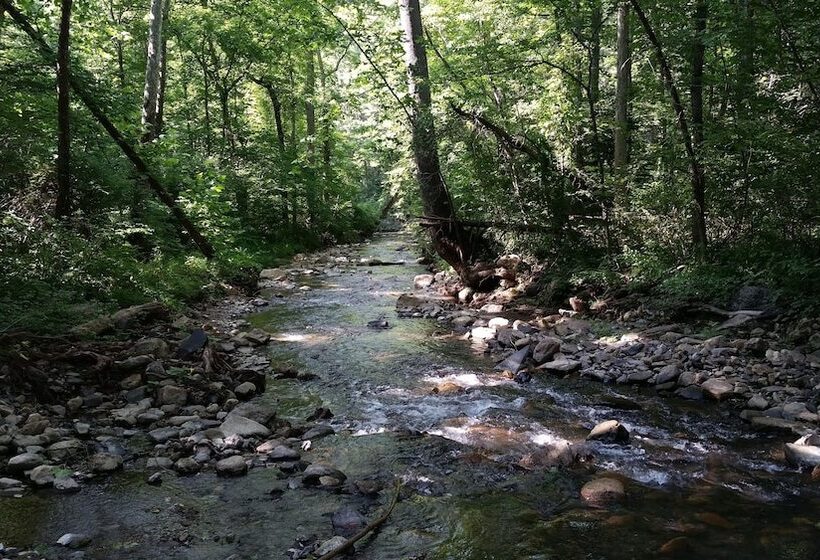 ユースホステル Vine Cottage Inn