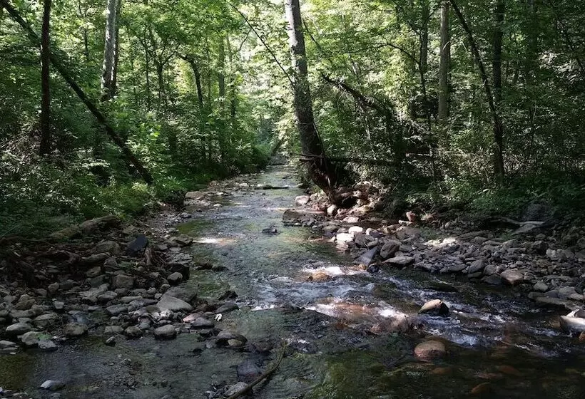 Retkeilymaja Vine Cottage Inn