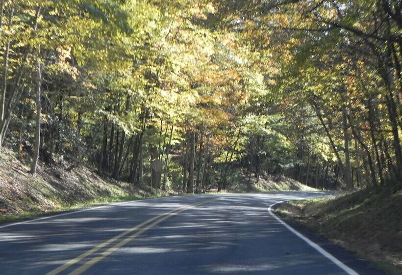 ユースホステル Vine Cottage Inn