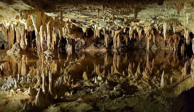 ユースホステル Vine Cottage Inn