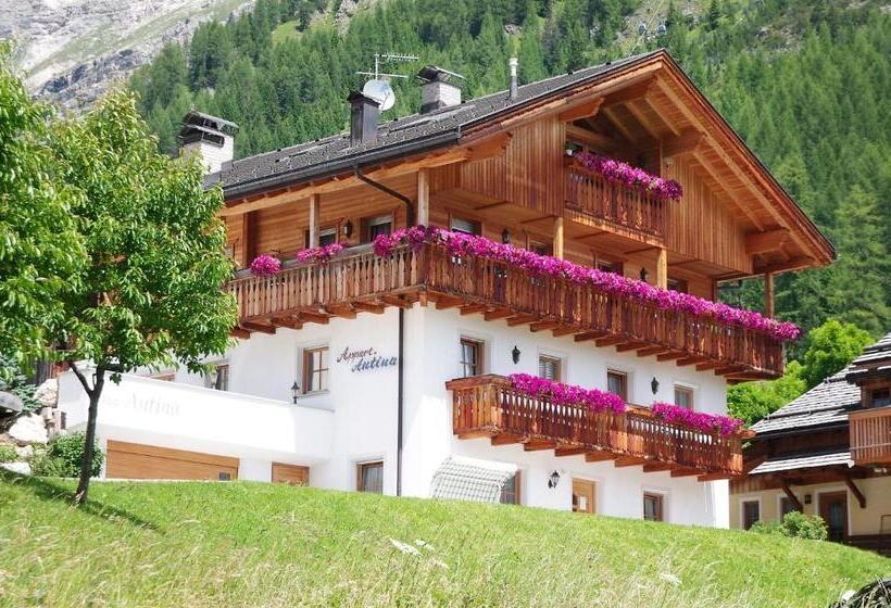 Garni Cristin & Dep Antina