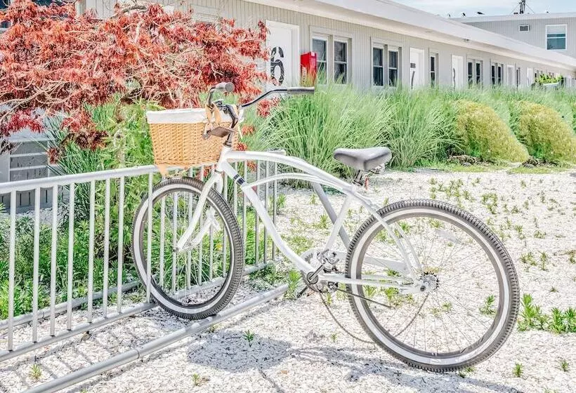 Hotelli The Surf Lodge