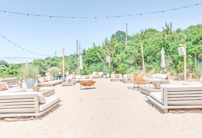 酒店 The Surf Lodge