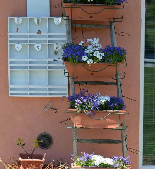 بنسيون Affittacamere Il Torchio