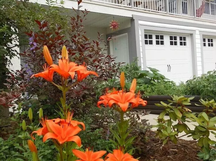 پانسیون Guesthouse Mountain Escape