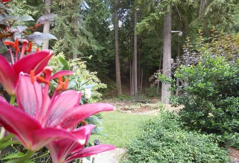 پانسیون Guesthouse Mountain Escape