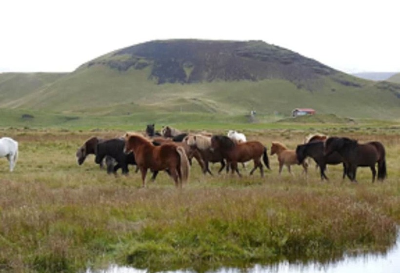 پانسیون Guesthouse Vellir